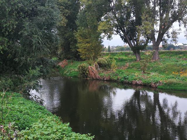 GETAFE DESCUBRE SU RÍO