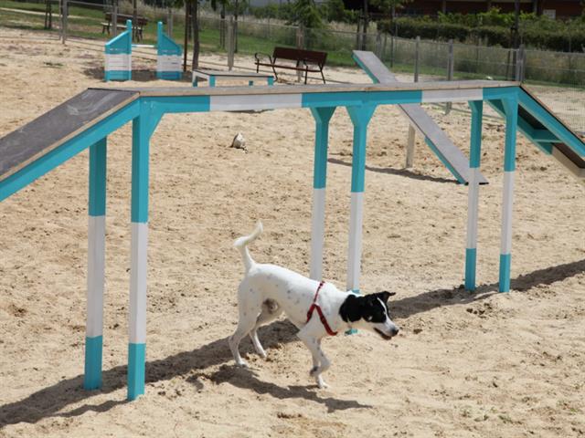 Aprobada definitivamente la ordenanza que regula las áreas caninas de Getafe