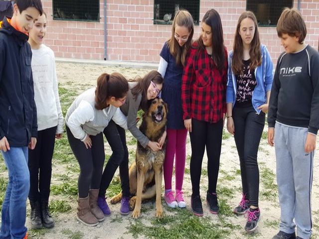 La Comisión de Infancia y Adolescencia graba un vídeo para sensibilizar sobre las adopciones en el Centro de Protección Animal