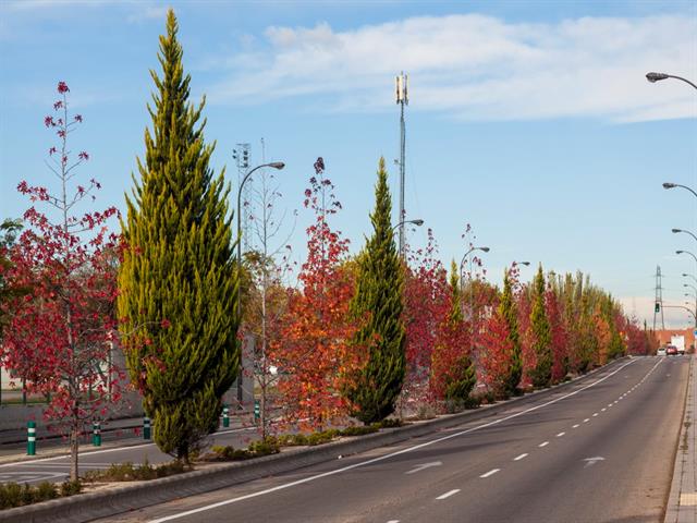 Getafe recibirá el premio ‘Visión Zero Municipal’ por tener 0 víctimas mortales en accidentes de tráfico