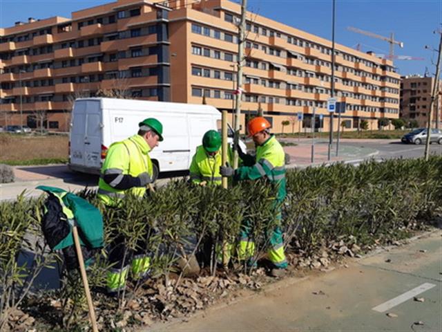 338 Árboles más para Buenavista y los Molinos