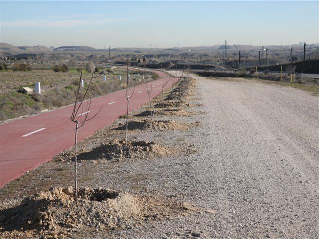 El Ayuntamiento de Getafe planta 800 árboles en Perales del Río