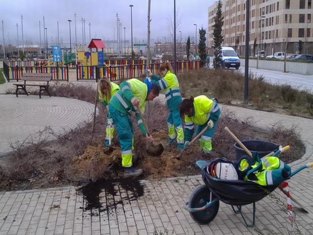 El Ayuntamiento de Getafe está plantando más de 300 árboles en Los Molinos y Buenavista