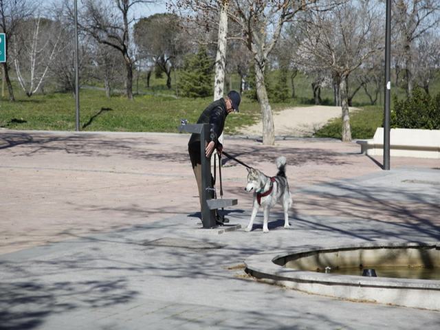 El Ayuntamiento de Getafe comienza la instalación de 50 fuentes mixtas