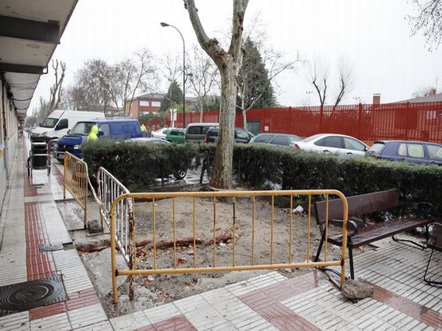 El Ayuntamiento de Getafe colabora con la asociación cultural y del medio ambiente ‘La Unión’ en la plantación de 30 árboles en el bercial