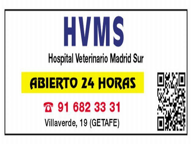 HOSPITAL VETERINARIO MADRID SUR, CLÍNICA VETERINARIA