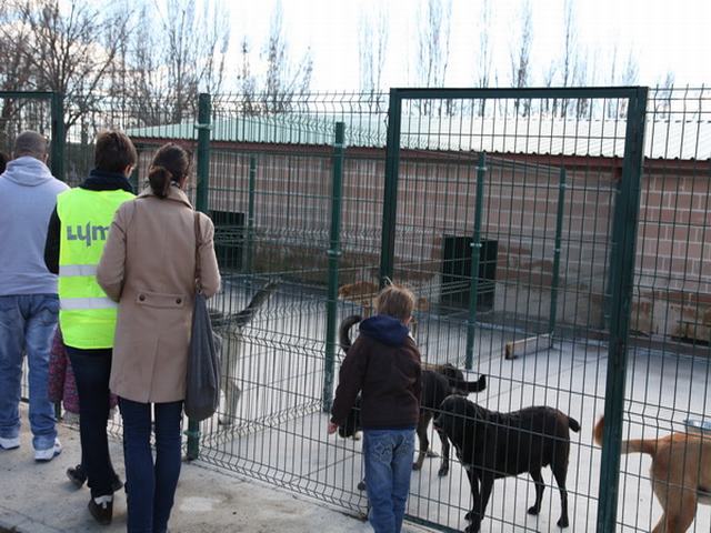 Nuevas mejoras en el Centro de Protección Animal de Getafe