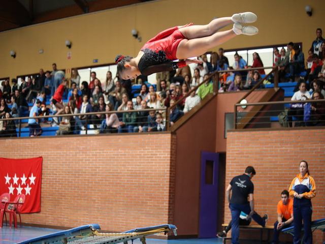 Los gimnastas getafenses consiguen 21 medallas en el VII Trofeo Comunidad de Madrid de Gimnasia Trampolín