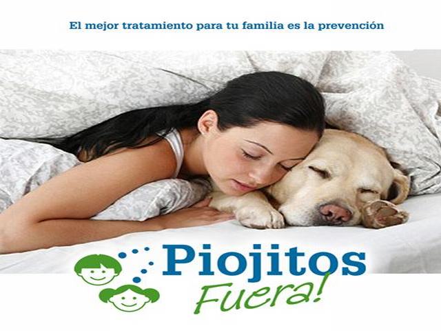 PIOJITOS FUERA, ELIMINAR PIOJOS Y LIENDRES GETAFE, TRATAMIENTOS PIOJOS