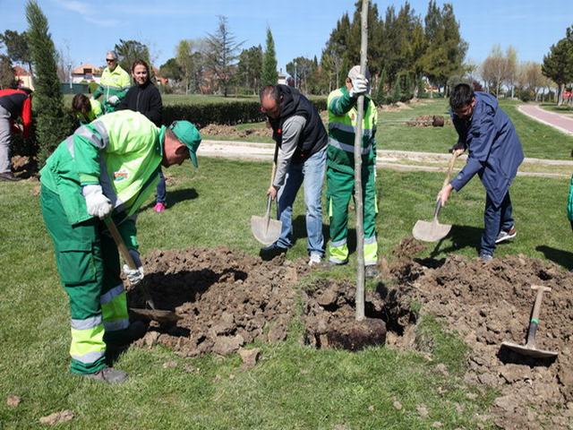 Los niños y niñas de FEDDIG 2008 plantaron 30 árboles en el Sector III