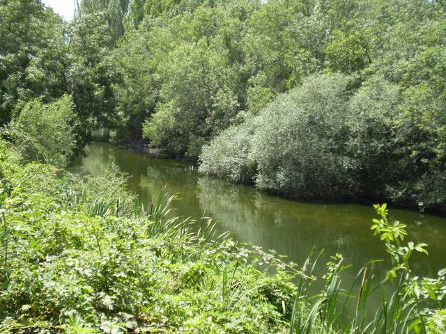 Técnicos del Ayuntamiento de Getafe y representantes de la Confederación Hidrográfica del Tajo han visitado el río Manzanares a su paso por Perales del Río