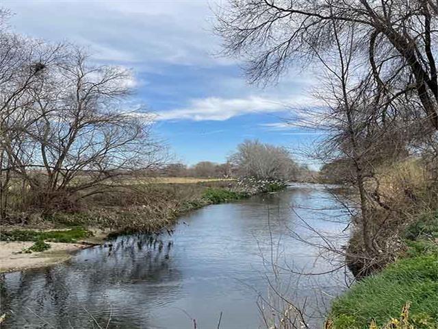 Getafe adelanta la campaña de control de mosquitos en el río Manzanares