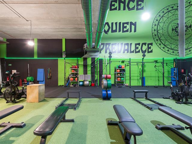 SALUD & FITNESS ONE LIVE