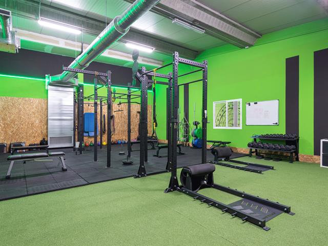 SALUD & FITNESS ONE LIVE