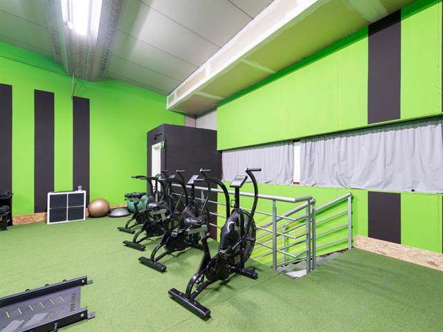 SALUD & FITNESS ONE LIVE